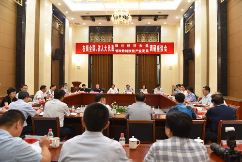 2022-9-6--在鎮全國、省人大代表調研-3--壓縮.JPG